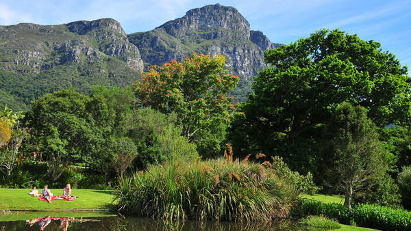 Kirstenbosch Gardens